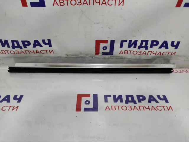 Уплотнитель стекла двери задней левой BMW 7-Series (F02) 51357206451.