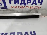Уплотнитель стекла двери задней левой BMW 7-Series (F02) 51357206451.