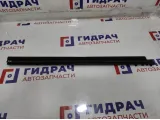 Уплотнитель стекла двери задней левой BMW 7-Series (F02) 51357206451.