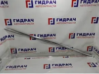 Накладка стекла заднего левого BMW 7-Series (F02) 51357179121. Хром.