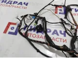 Проводка двери передней левой BMW 7-Series (F02) 61129219978.