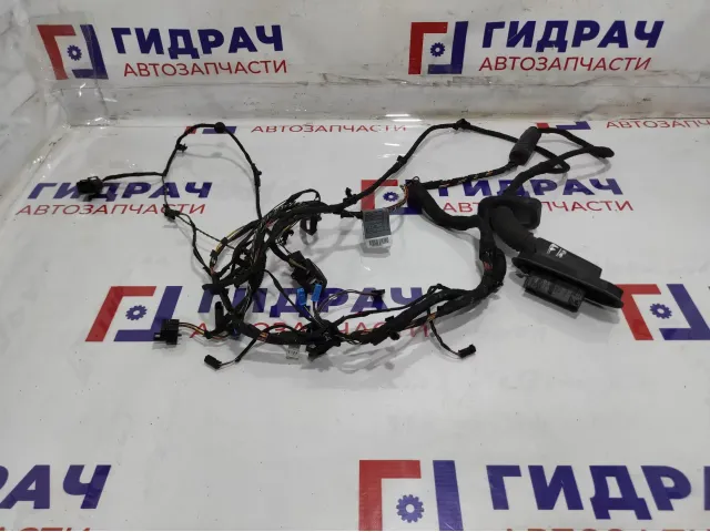 Проводка двери передней правой BMW 7-Series (F02) 61129219980.