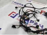 Проводка двери передней правой BMW 7-Series (F02) 61129219980.