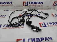 Проводка двери задней правой BMW 7-Series (F02) 61129219986.