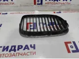 Решетка радиатора левая BMW 7-Series (F02) 51117184151. Потертость.