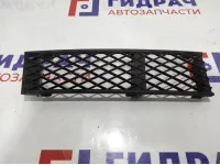 Решетка в бампер правая BMW 7-Series (F02) 51117184150.