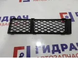 Решетка в бампер правая BMW 7-Series (F02) 51117184150.