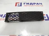 Решетка в бампер левая BMW 7-Series (F02) 51117186505.