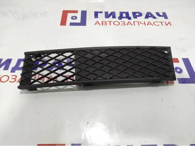 Решетка в бампер левая BMW 7-Series (F02) 51117186505.