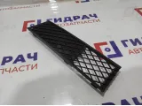 Решетка в бампер левая BMW 7-Series (F02) 51117186505.