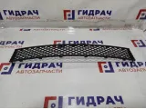 Решетка в бампер центральная BMW 7-Series (F02) 51117183870.