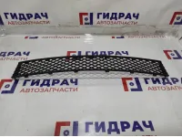 Решетка в бампер центральная BMW 7-Series (F02) 51117183870.