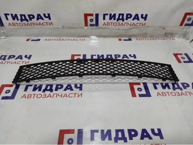 Решетка в бампер центральная BMW 7-Series (F02) 51117183870.