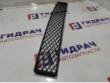 Решетка в бампер центральная BMW 7-Series (F02) 51117183870.