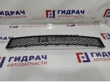 Решетка в бампер центральная BMW 7-Series (F02) 51117183870.