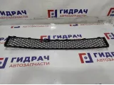 Решетка в бампер центральная BMW 7-Series (F02) 51117183870.