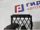 Решетка в бампер центральная BMW 7-Series (F02) 51117183870.