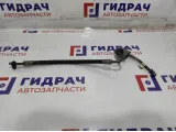 Трубка гидравлическая BMW 7-Series (F02) 37136781426.