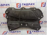 Шумоизоляция двери передней правой BMW 7-Series (F02) 51487179516.
