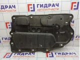 Шумоизоляция двери задней левой BMW 7-Series (F02) 51487181377.