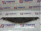 Элемент передней панели BMW 7-Series (F02) 51647199417.