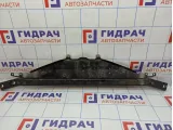 Элемент передней панели BMW 7-Series (F02) 51647199417.