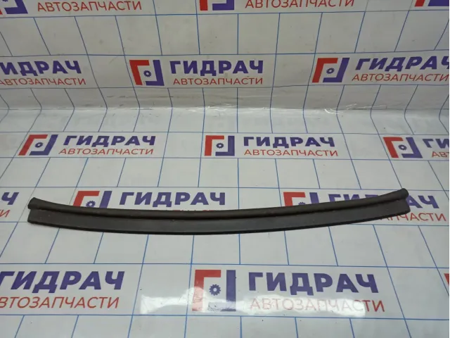 Уплотнитель капота BMW 7-Series (F02) 51767199435.
