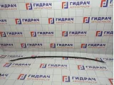 Молдинг заднего стекла BMW 7-Series (F02) 51317184569. Нижний.
