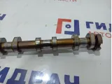 Распредвал выпускной BMW 7-Series (F02) 11317568205. 5-8 Ц.