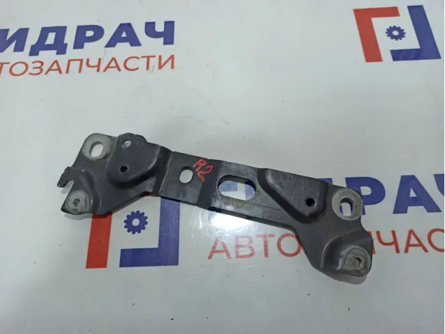 Кронштейн петли капота правый BMW 7-Series (F02) 41007204556.