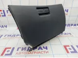 Бардачок BMW X5 (E53) 51168245303