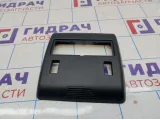 Плафон салонный BMW X5 (E53) 51447001380