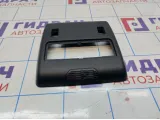 Плафон салонный BMW X5 (E53) 51447001380