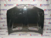 Капот BMW X5 (E53) 41617008328