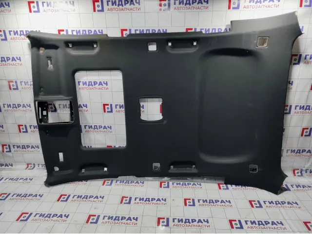 Обшивка потолка BMW X5 (E53) 51448259687