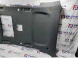 Обшивка потолка BMW X5 (E53) 51448259687