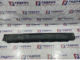 Накладка на порог наружная правая BMW X5 (E53) 51718408706