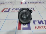Фара противотуманная левая BMW X5 (E53) 63176920885