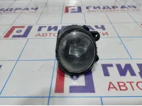 Фара противотуманная левая BMW X5 (E53) 63176920885