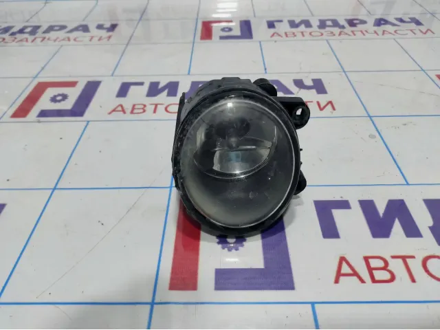 Фара противотуманная левая BMW X5 (E53) 63176920885