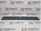 Накладка двери багажника BMW X5 (E53) 51498243504