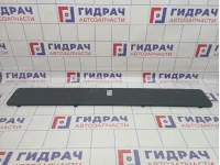 Накладка двери багажника BMW X5 (E53) 51498243504