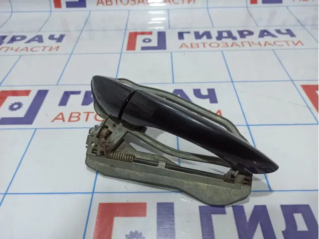 Ручка двери наружная задняя левая BMW X5 (E53) 51217002311