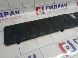 Накладка двери багажника BMW X5 (E53) 51498243504