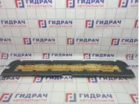 Накладка двери багажника BMW X5 (E53) 51498402380