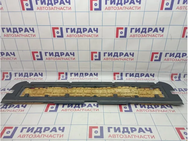 Накладка двери багажника BMW X5 (E53) 51498402380