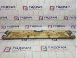 Накладка двери багажника BMW X5 (E53) 51498402380