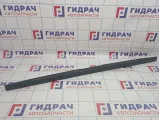 Накладка двери багажника BMW X5 (E53) 51497130410