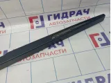 Накладка двери багажника BMW X5 (E53) 51497130410