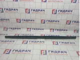 Накладка двери багажника BMW X5 (E53) 51497130410